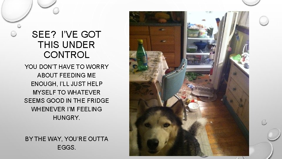 SEE? I’VE GOT THIS UNDER CONTROL YOU DON’T HAVE TO WORRY ABOUT FEEDING ME SEE? I’VE GOT THIS UNDER CONTROL YOU DON’T HAVE TO WORRY ABOUT FEEDING ME