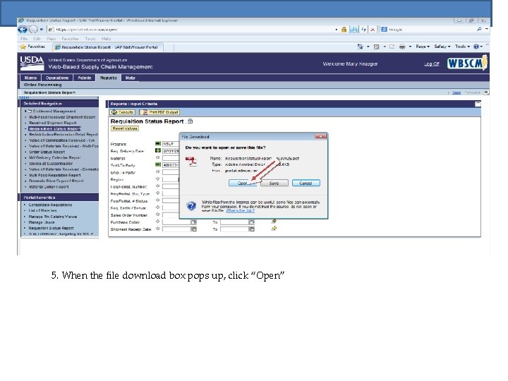 5. When the file download box pops up, click “Open” 