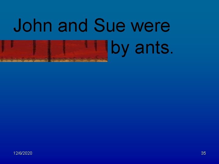 John and Sue were surrounded by ants. 12/6/2020 35 