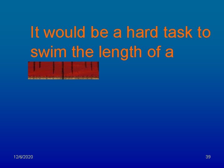 It would be a hard task to swim the length of a channel. 12/6/2020