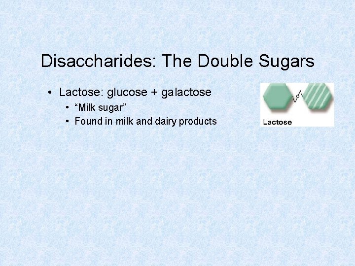 Disaccharides: The Double Sugars • Lactose: glucose + galactose • “Milk sugar” • Found