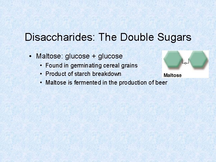 Disaccharides: The Double Sugars • Maltose: glucose + glucose • Found in germinating cereal
