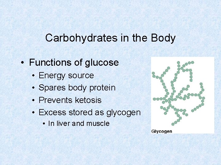 Carbohydrates in the Body • Functions of glucose • • Energy source Spares body