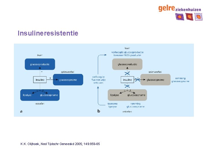 Insulineresistentie K. K. Olijhoek, Ned Tijdschr Geneeskd 2005; 149: 859 -65 