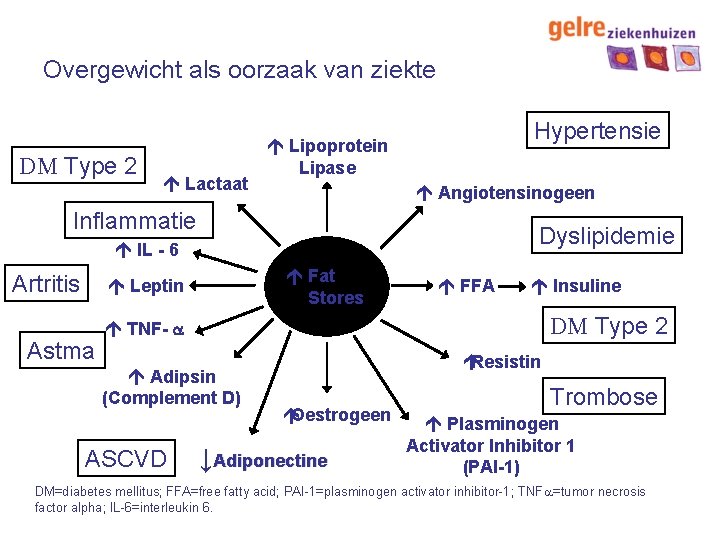 Overgewicht als oorzaak van ziekte DM Type 2 á Lactaat Hypertensie á Lipoprotein Lipase