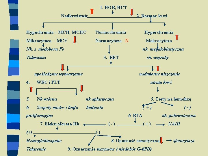 1. HGB, HCT Nadkrwistość 2. Rozmaz krwi Hypochromia – MCH, MCHC Normochromia Hyperchromia Mikrocytoza