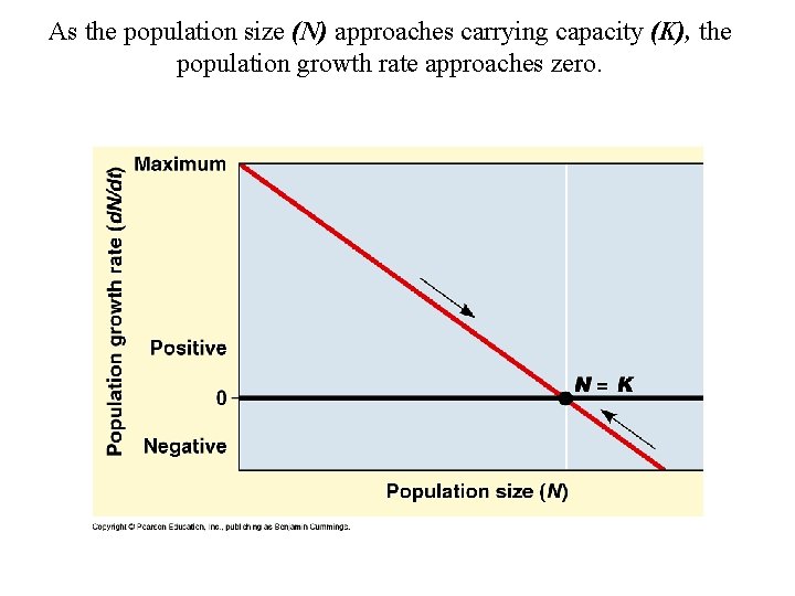 As the population size (N) approaches carrying capacity (K), the population growth rate approaches