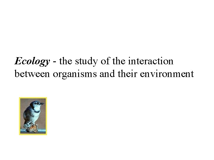 Ecology - the study of the interaction between organisms and their environment 