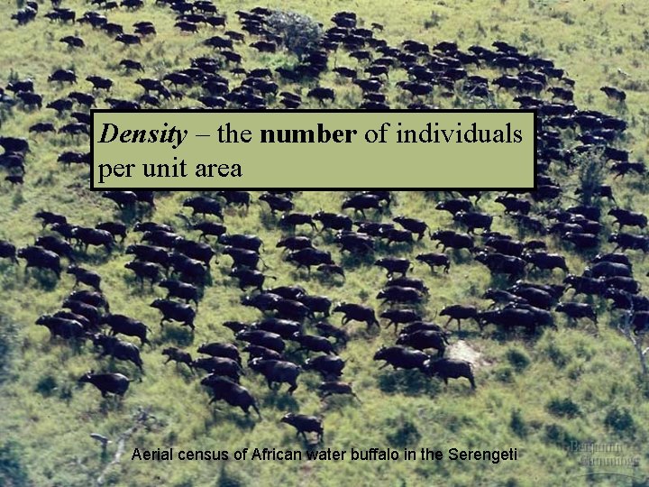 Density – the number of individuals per unit area Aerial census of African water