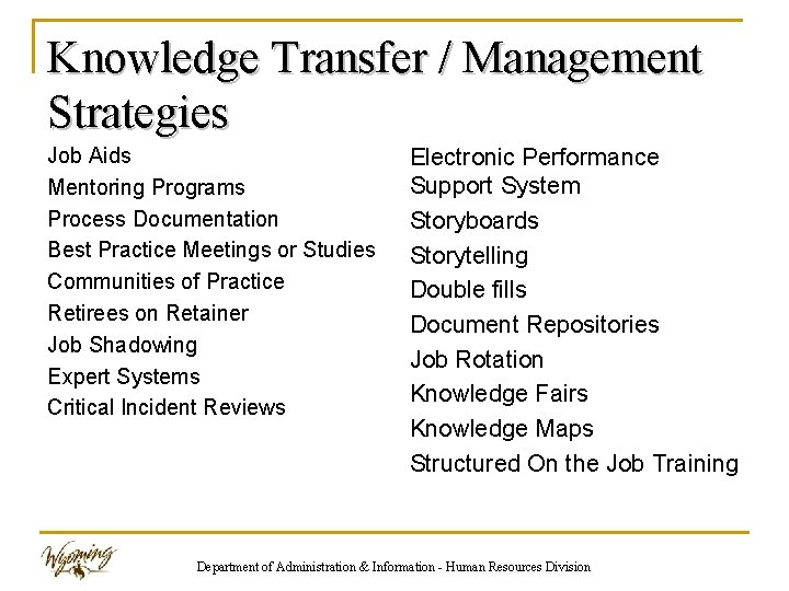 Knowledge Transfer / Management Strategies Job Aids Mentoring Programs Process Documentation Best Practice Meetings