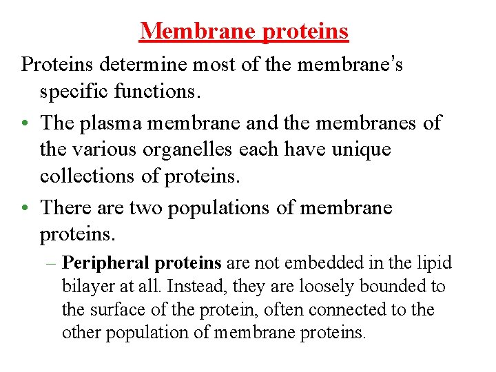 Membrane proteins Proteins determine most of the membrane’s specific functions. • The plasma membrane