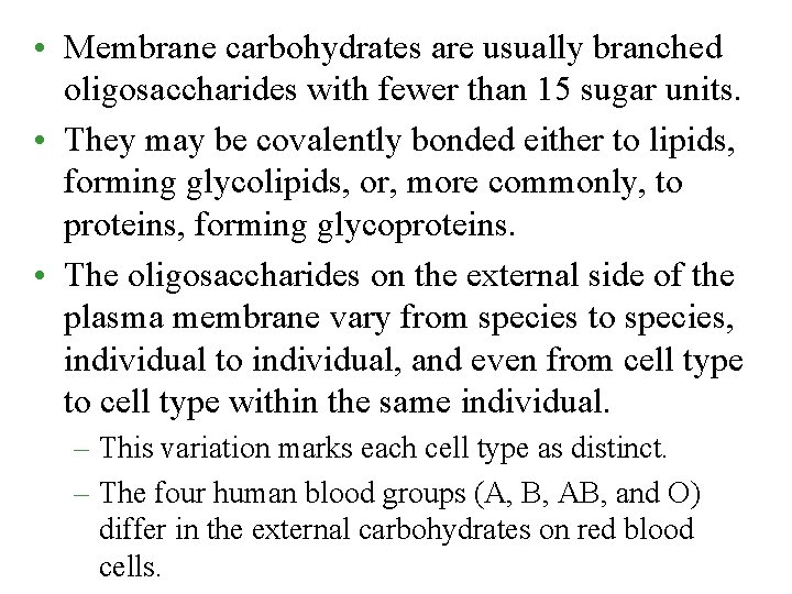  • Membrane carbohydrates are usually branched oligosaccharides with fewer than 15 sugar units.