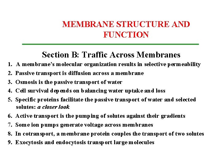 MEMBRANE STRUCTURE AND FUNCTION Section B: Traffic Across Membranes 1. 2. 3. 4. 5.