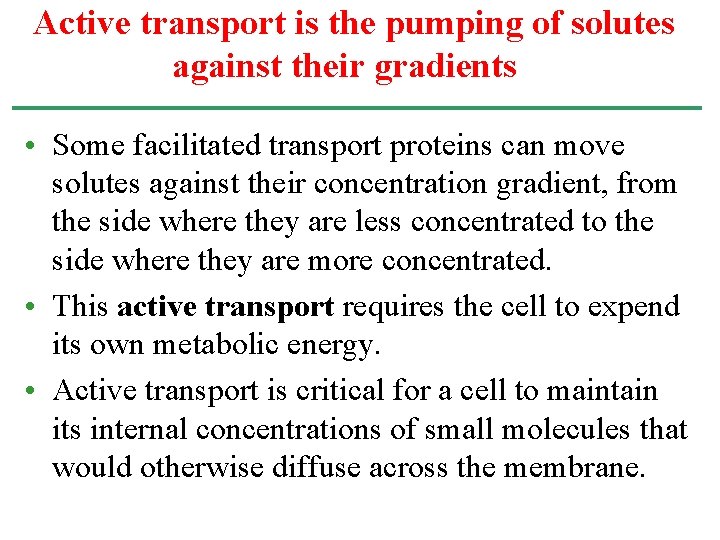 Active transport is the pumping of solutes against their gradients • Some facilitated transport