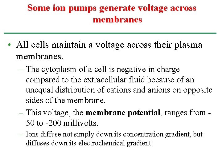 Some ion pumps generate voltage across membranes • All cells maintain a voltage across