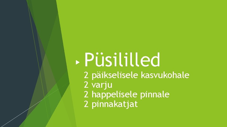 Püsililled 2 2 päikselisele kasvukohale varju happelisele pinnakatjat 