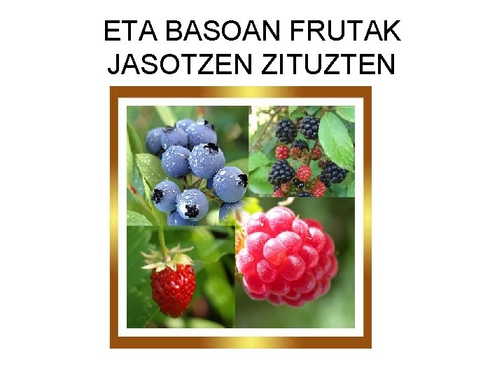 ETA BASOAN FRUTAK JASOTZEN ZITUZTEN 