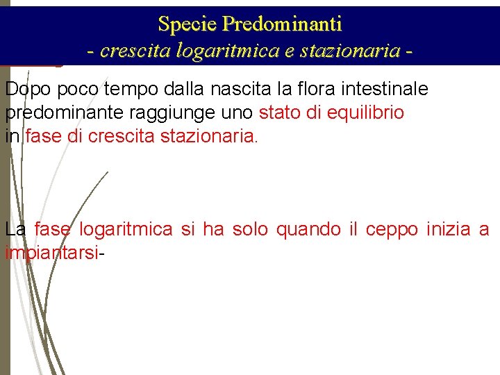 Specie Predominanti - crescita logaritmica e stazionaria Dopo poco tempo dalla nascita la flora