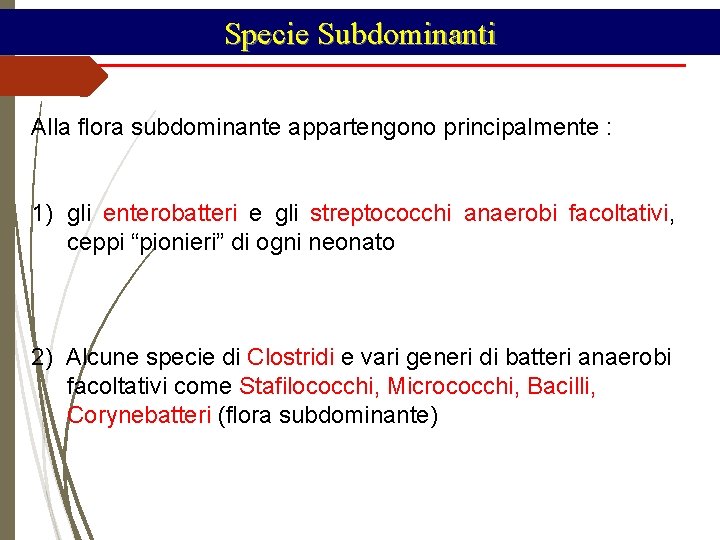 Specie Subdominanti Alla flora subdominante appartengono principalmente : 1) gli enterobatteri e gli streptococchi