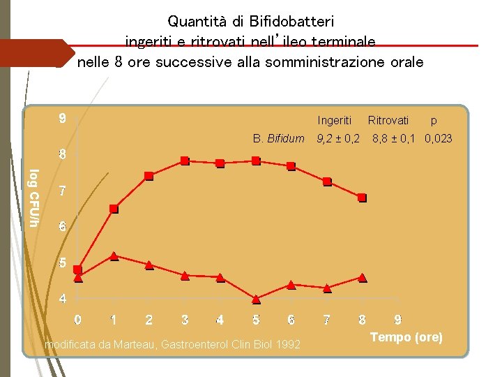 Quantità di Bifidobatteri ingeriti e ritrovati nell’ileo terminale nelle 8 ore successive alla somministrazione