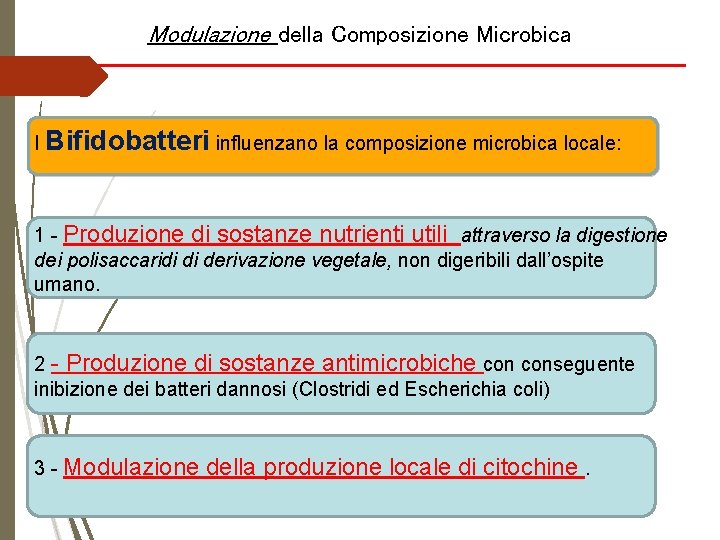 Modulazione della Composizione Microbica I Bifidobatteri influenzano la composizione microbica locale: 1 - Produzione