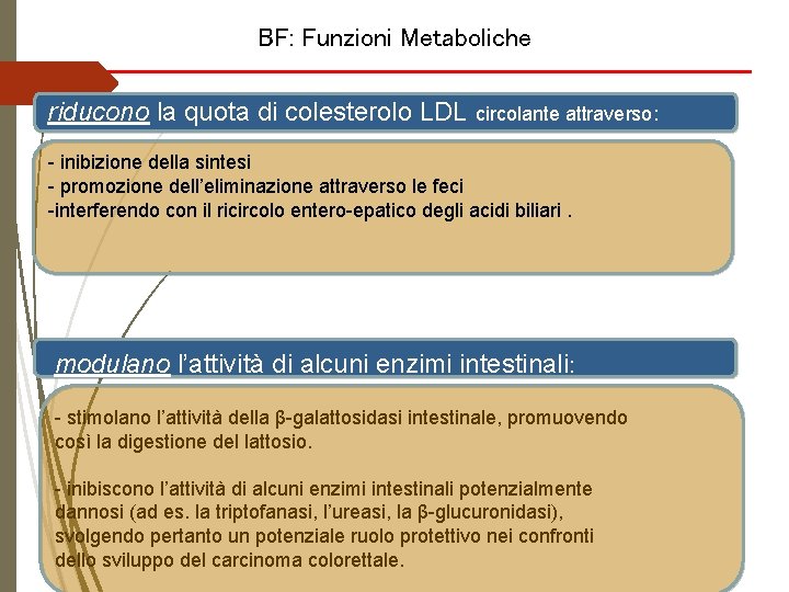 BF: Funzioni Metaboliche riducono la quota di colesterolo LDL circolante attraverso: - inibizione della