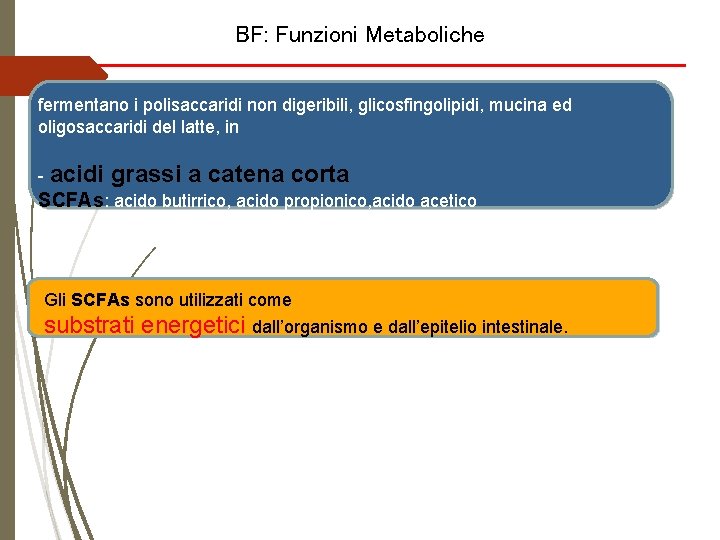 BF: Funzioni Metaboliche fermentano i polisaccaridi non digeribili, glicosfingolipidi, mucina ed oligosaccaridi del latte,