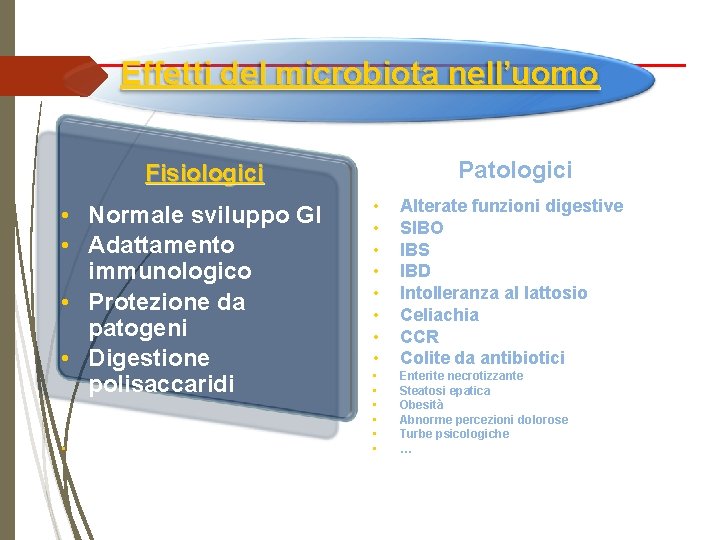 Effetti del microbiota nell’uomo Patologici Fisiologici • Normale sviluppo GI • Adattamento immunologico •