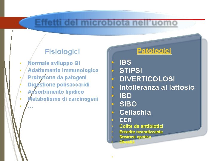 Patologici Fisiologici • • Normale sviluppo GI Adattamento immunologico Protezione da patogeni Digestione polisaccaridi