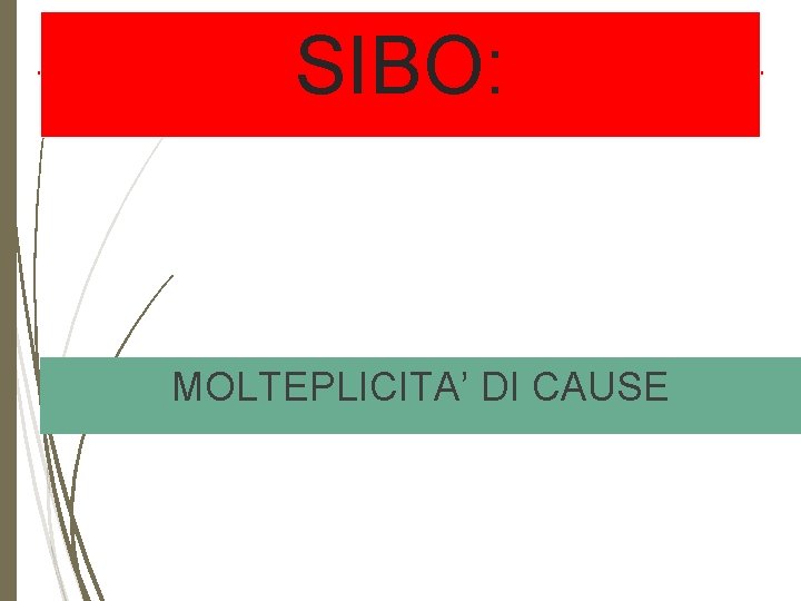 SIBO: MOLTEPLICITA’ DI CAUSE 