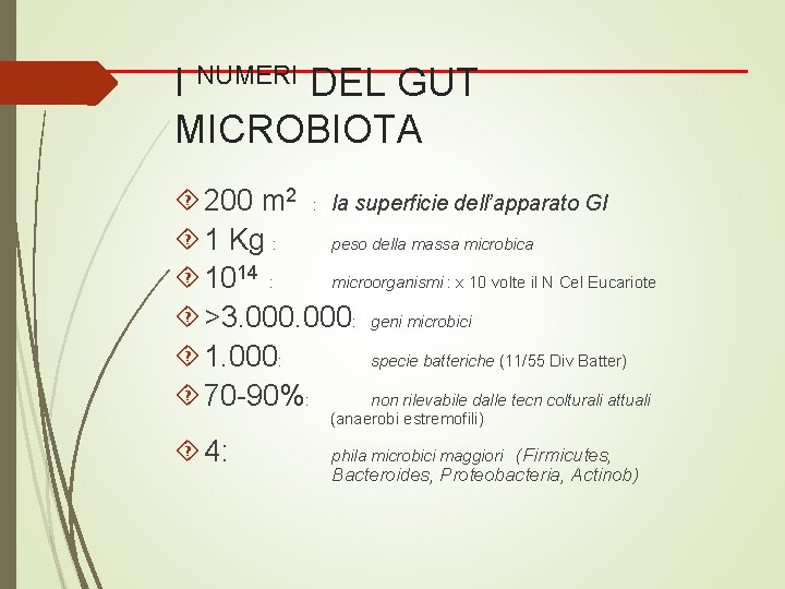 I NUMERI DEL GUT MICROBIOTA 200 m 2 : la superficie dell’apparato GI 1