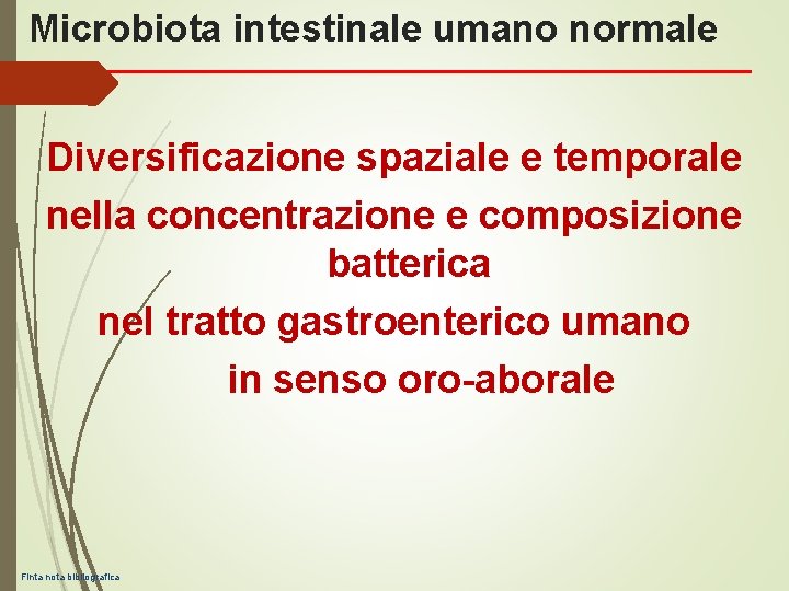 Microbiota intestinale umano normale Diversificazione spaziale e temporale nella concentrazione e composizione batterica nel