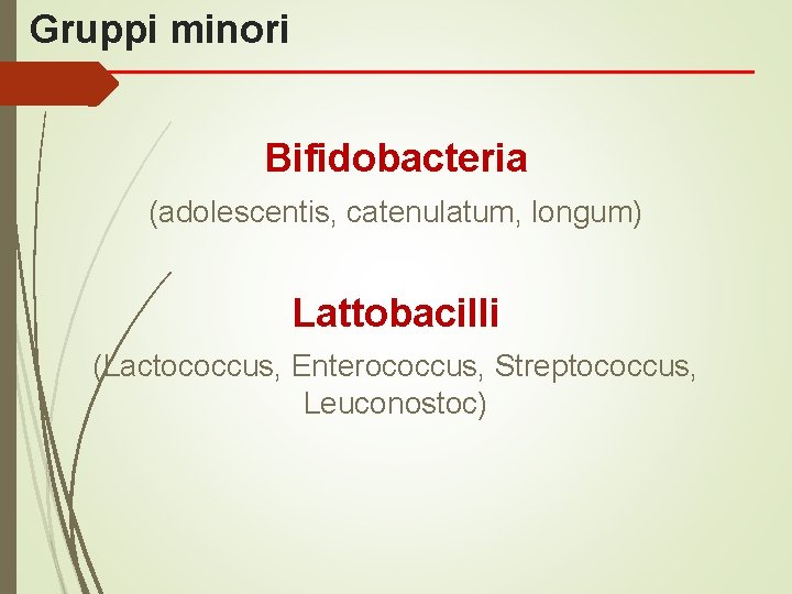 Gruppi minori Bifidobacteria (adolescentis, catenulatum, longum) Lattobacilli (Lactococcus, Enterococcus, Streptococcus, Leuconostoc) 