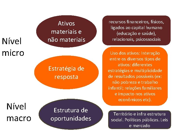 Nível micro Ativos materiais e não materiais Estratégia de resposta Nível macro Estrutura de