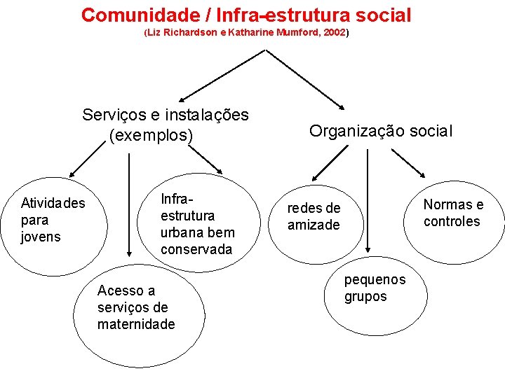 Comunidade / Infra-estrutura social (Liz Richardson e Katharine Mumford, 2002) Serviços e instalações (exemplos)