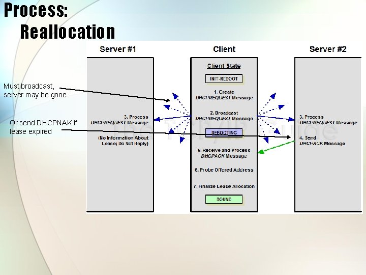 Process: Reallocation Must broadcast, server may be gone Or send DHCPNAK if lease expired