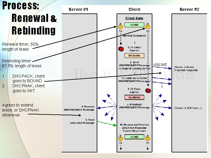 Process: Renewal & Rebinding Renewal timer, 50% length of lease Rebinding timer 87. 5%