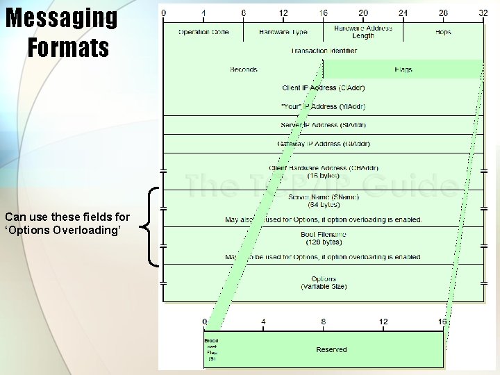 Messaging Formats Can use these fields for ‘Options Overloading’ 