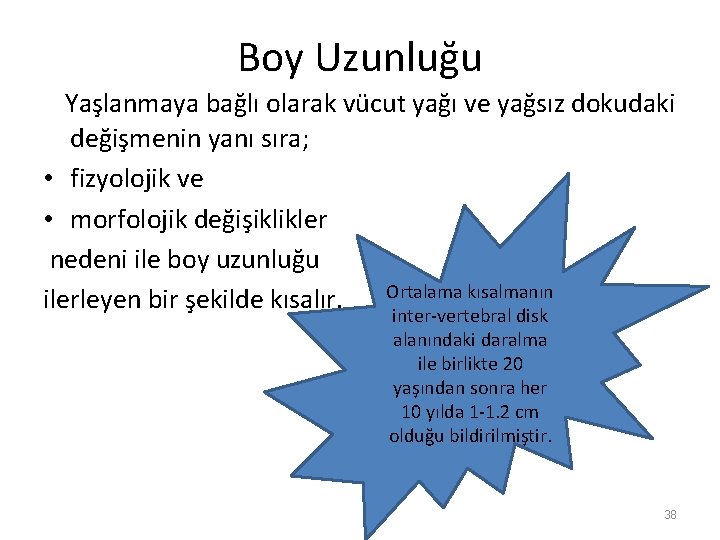 Boy Uzunluğu Yaşlanmaya bağlı olarak vücut yağı ve yağsız dokudaki değişmenin yanı sıra; •