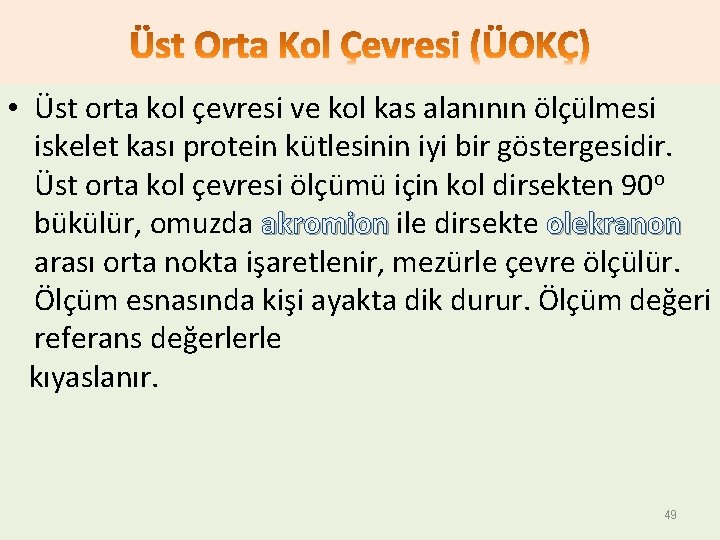  • Üst orta kol çevresi ve kol kas alanının ölçülmesi iskelet kası protein