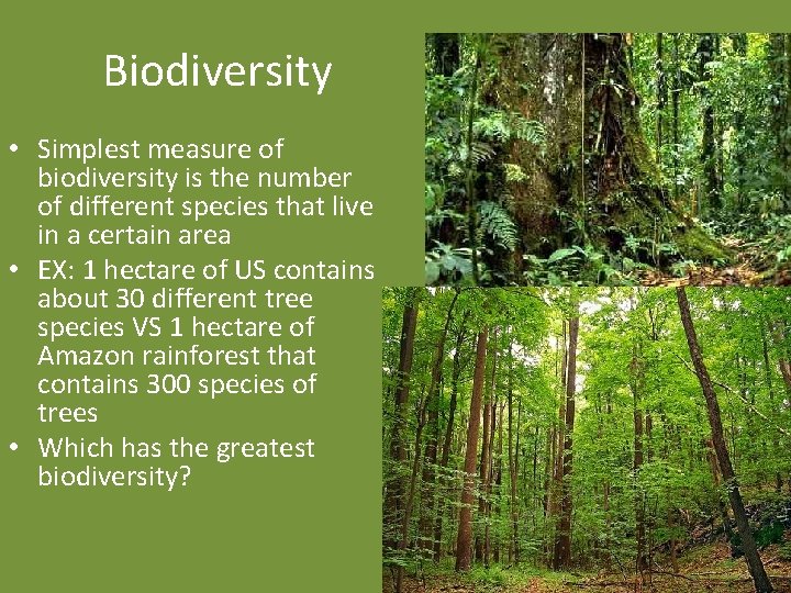 Biodiversity • Simplest measure of biodiversity is the number of different species that live