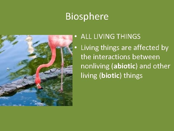 Biosphere • ALL LIVING THINGS • Living things are affected by the interactions between