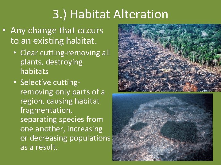 3. ) Habitat Alteration • Any change that occurs to an existing habitat. •