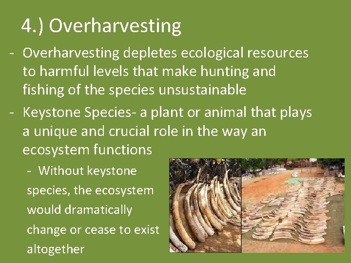 4. ) Overharvesting - Overharvesting depletes ecological resources to harmful levels that make hunting