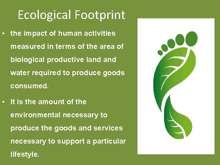 Ecological Footprint • the impact of human activities measured in terms of the area