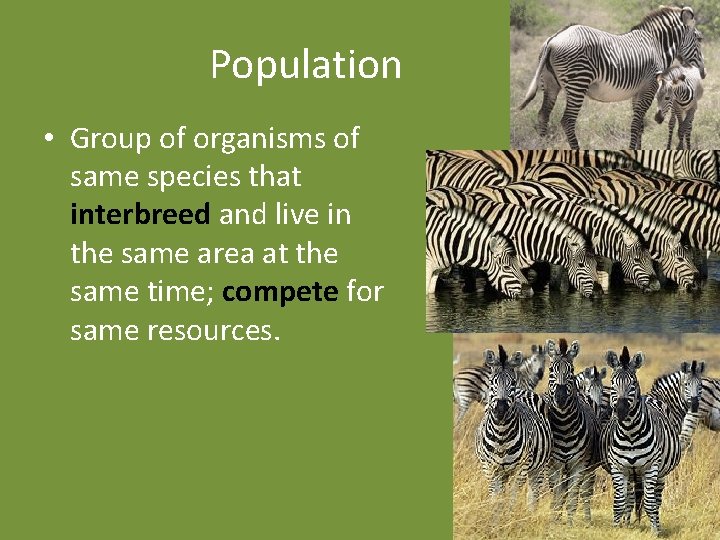 Population • Group of organisms of same species that interbreed and live in the
