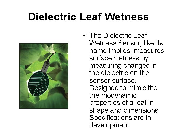 Dielectric Leaf Wetness • The Dielectric Leaf Wetness Sensor, like its name implies, measures