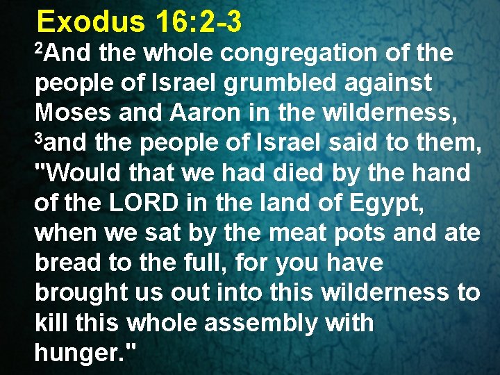 Exodus 16: 2 -3 2 And the whole congregation of the people of Israel Exodus 16: 2 -3 2 And the whole congregation of the people of Israel