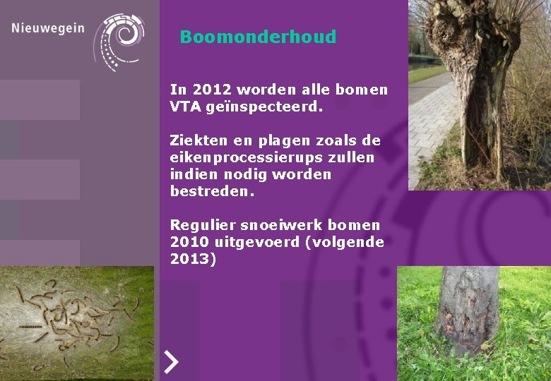 Boomonderhoud In 2012 worden alle bomen VTA geïnspecteerd. Ziekten en plagen zoals de eikenprocessierups