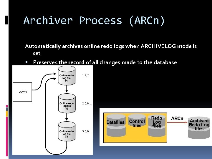 Archiver Process (ARCn) Automatically archives online redo logs when ARCHIVELOG mode is set Preserves